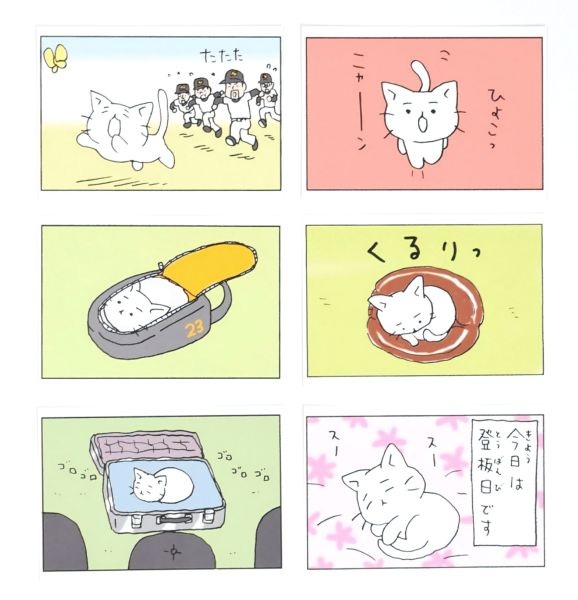 【猫ピッチャー】ポストカードセット（1セット）